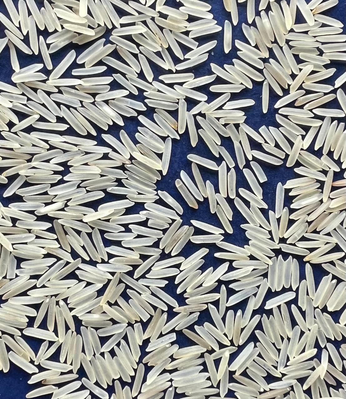 Basmati rice close view